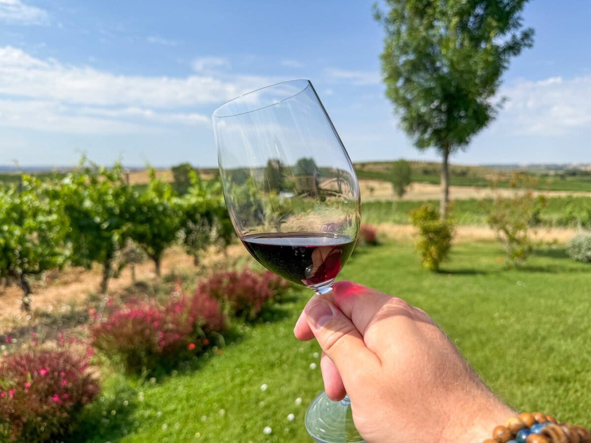 Wijn in Ribera del Duero in Spanje