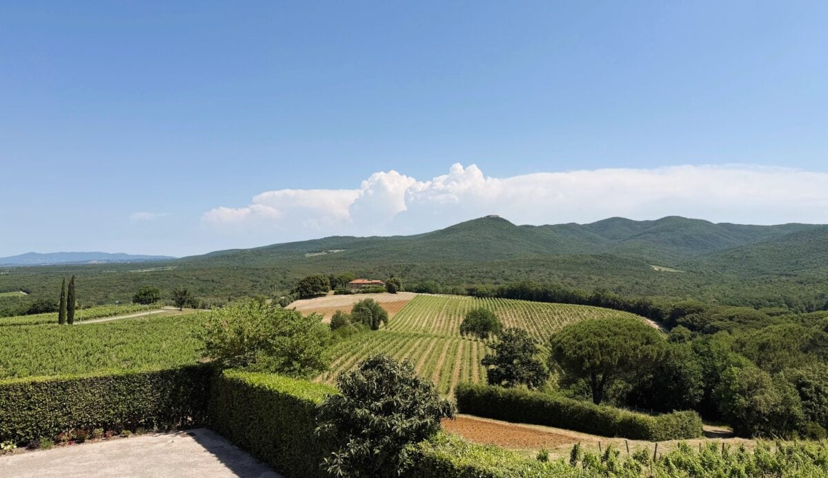 Uitzicht over de wijnregio Bolgheri in Italië