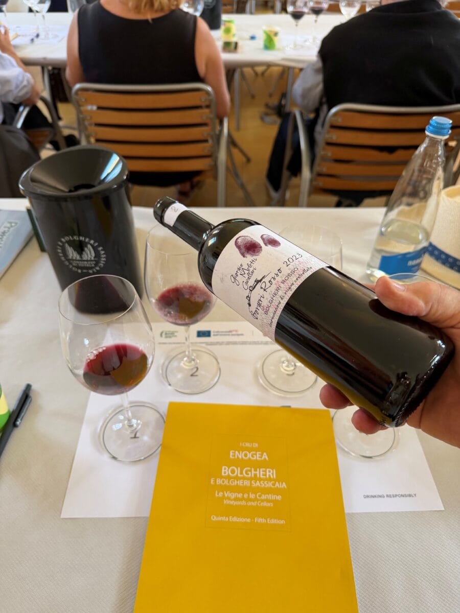 Wijn proeven in Bolgheri