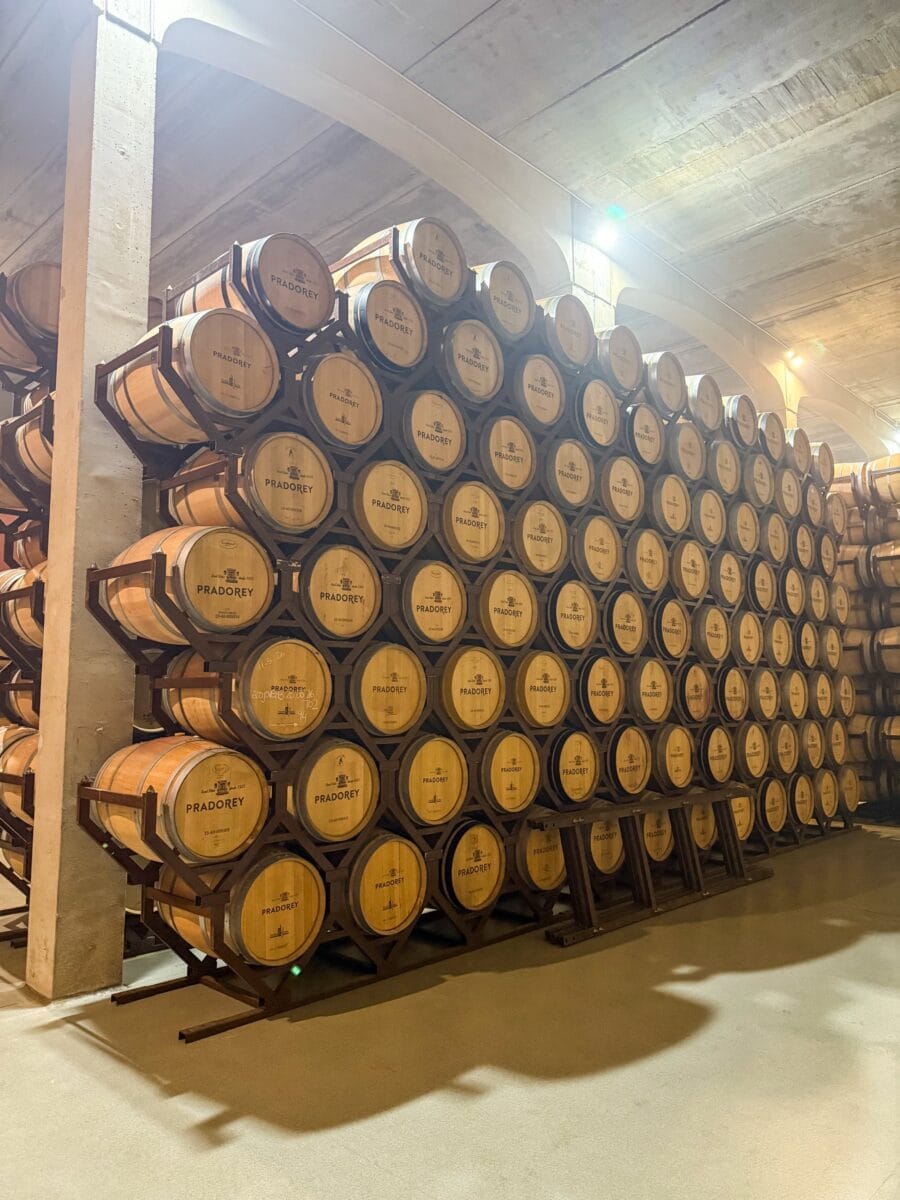 Vaten met wijn bij Pradorey in Ribera del Duero