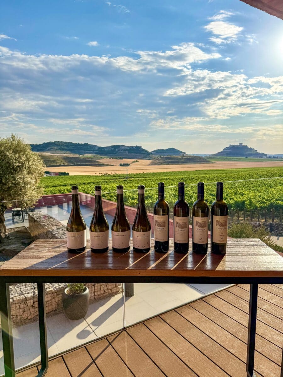 Wijnen bij Cepa 21 in Ribera del Duero