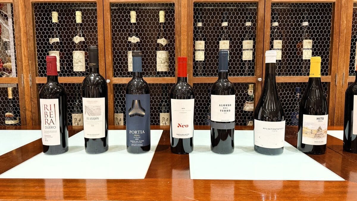 Rode wijnen uit de Spaanse regio Ribera del Duero