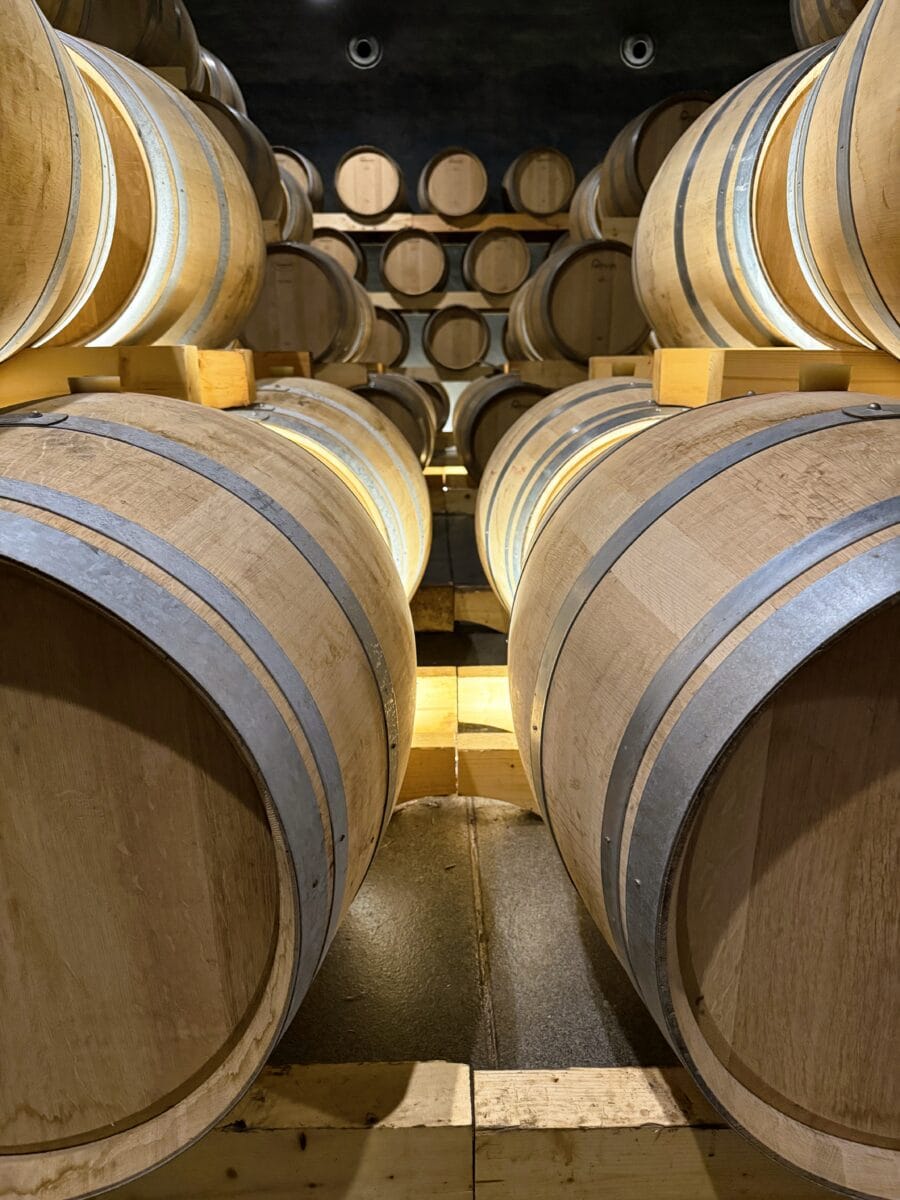 Wijnkelder van Cepa 21 in Ribera del Duero