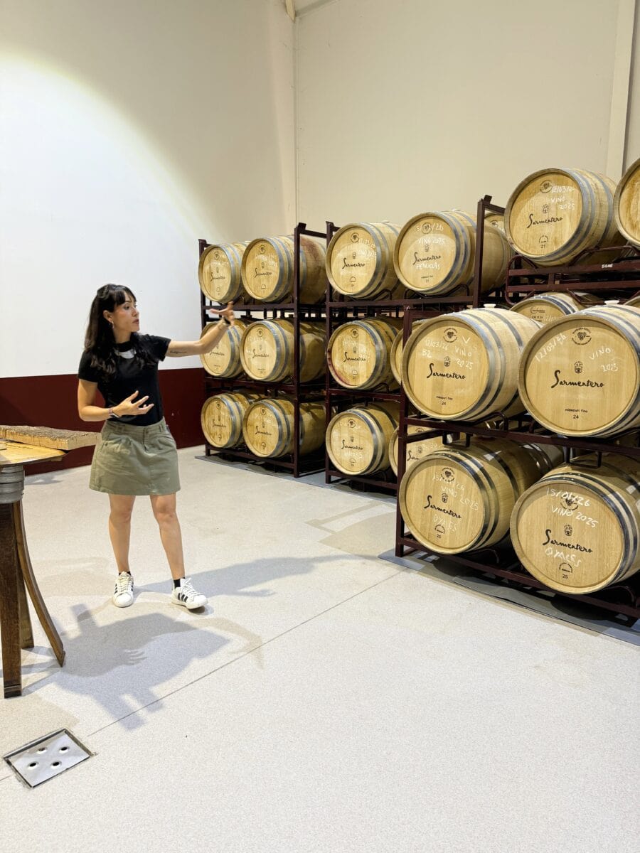 Wijnvaten bij Bodega Sarmentero in Spanje