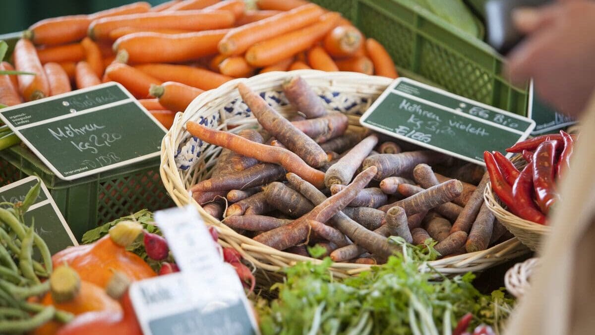 Lokale groente en fruit in Saarland