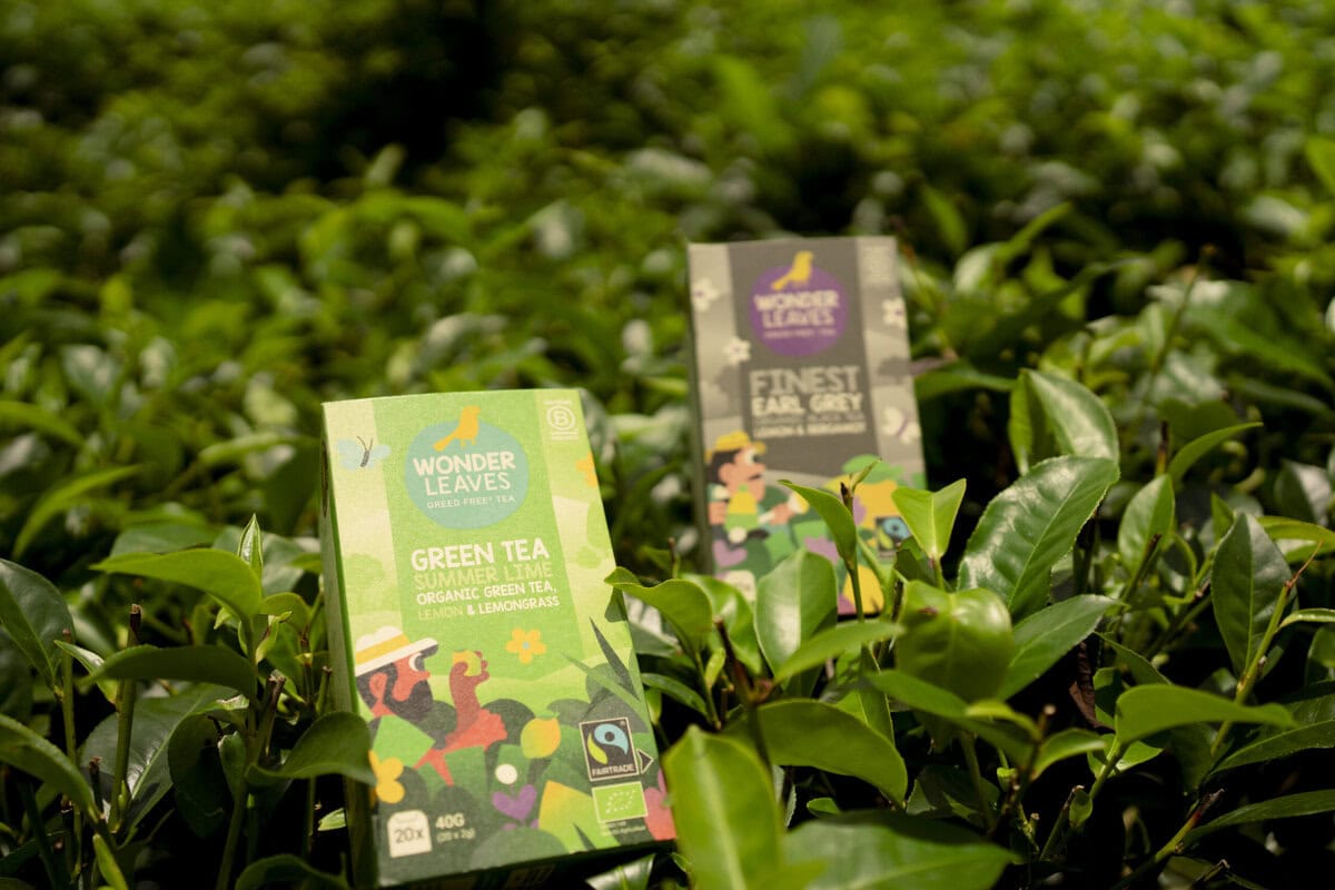 Koffie en thee We Wonder Leaves®