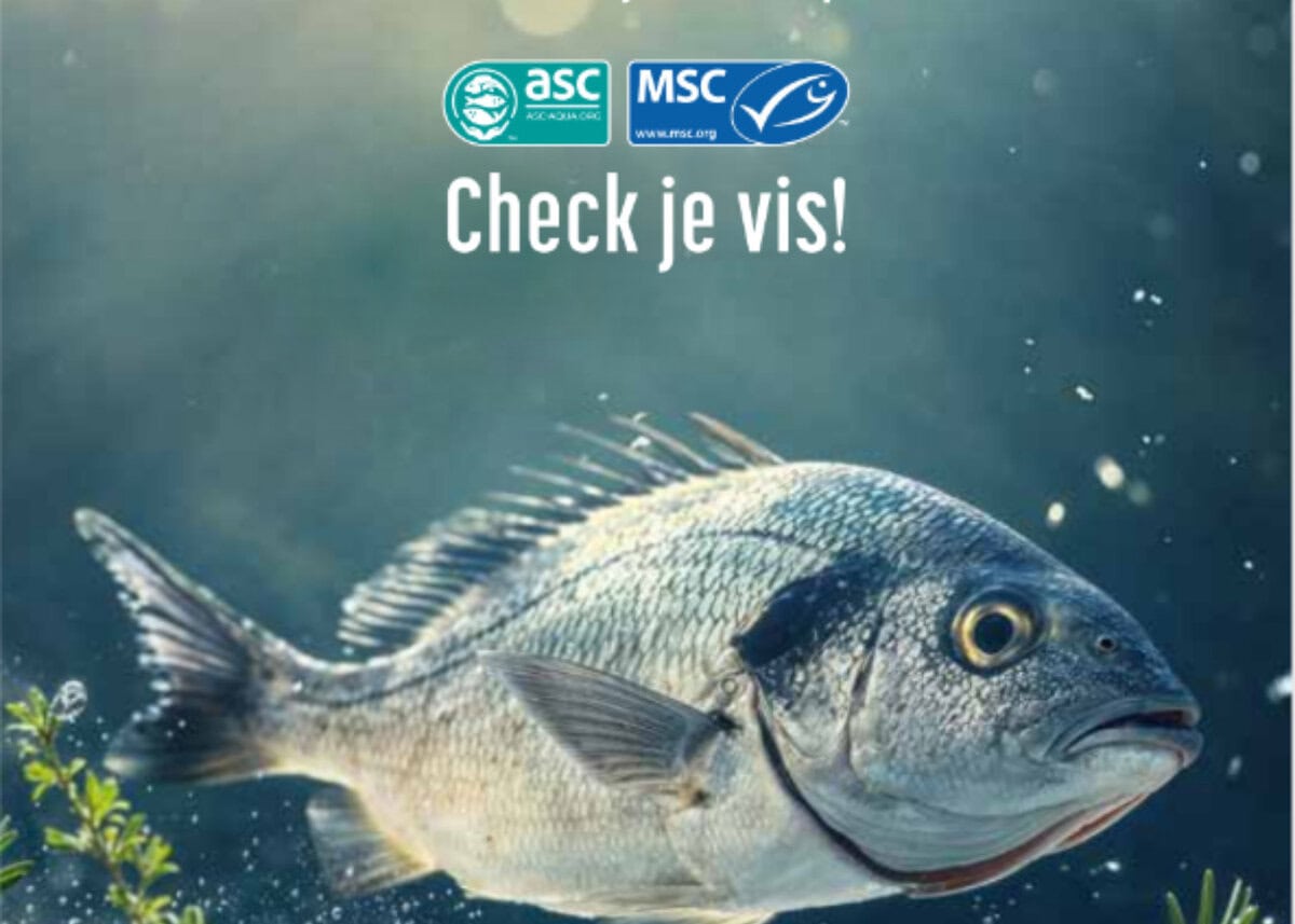 MSC check je vis
