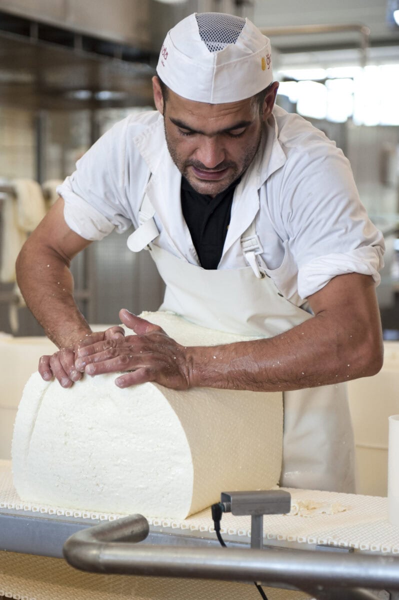 Operatore Pecorino Italiaanse kazen
