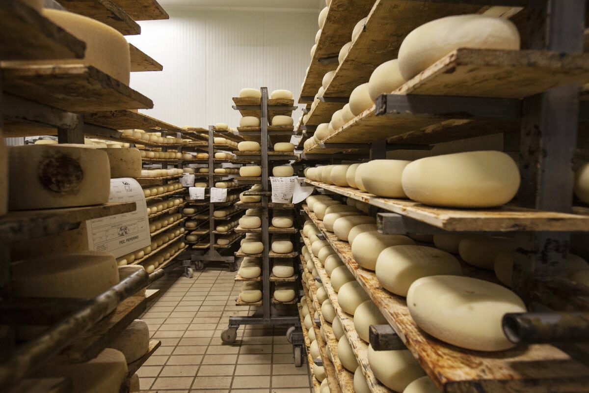 Pecorino opslag Italiaanse kazen