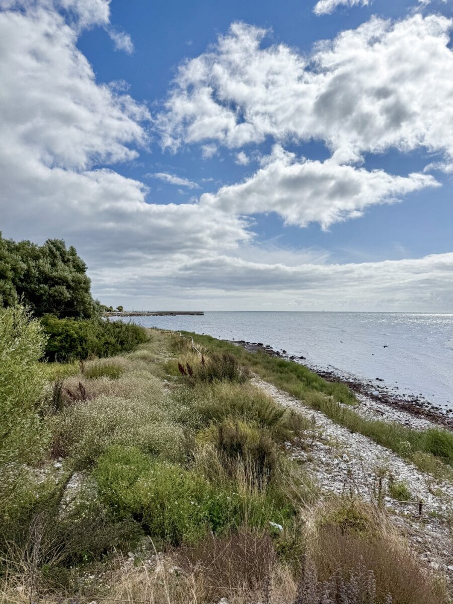 Kust in Zuid-Zweden