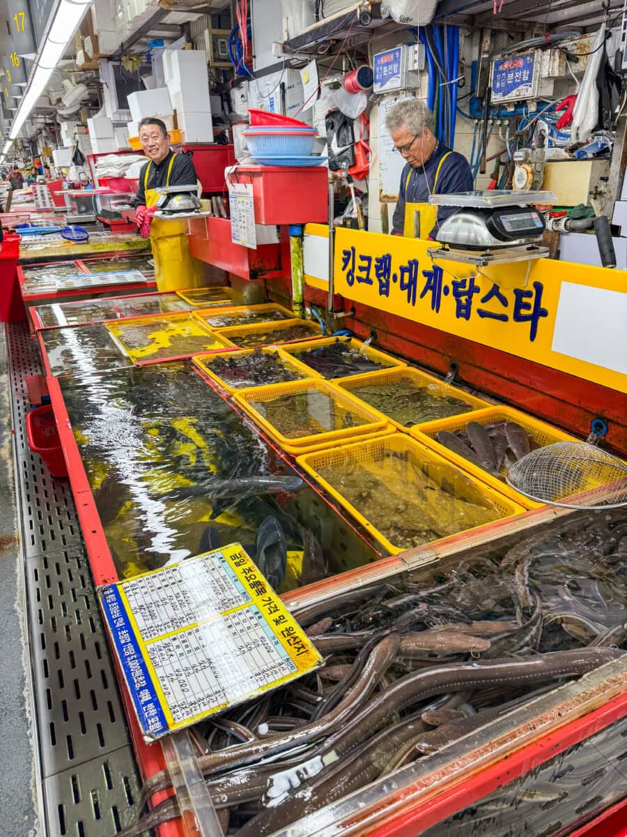 Vismarkt in Busan