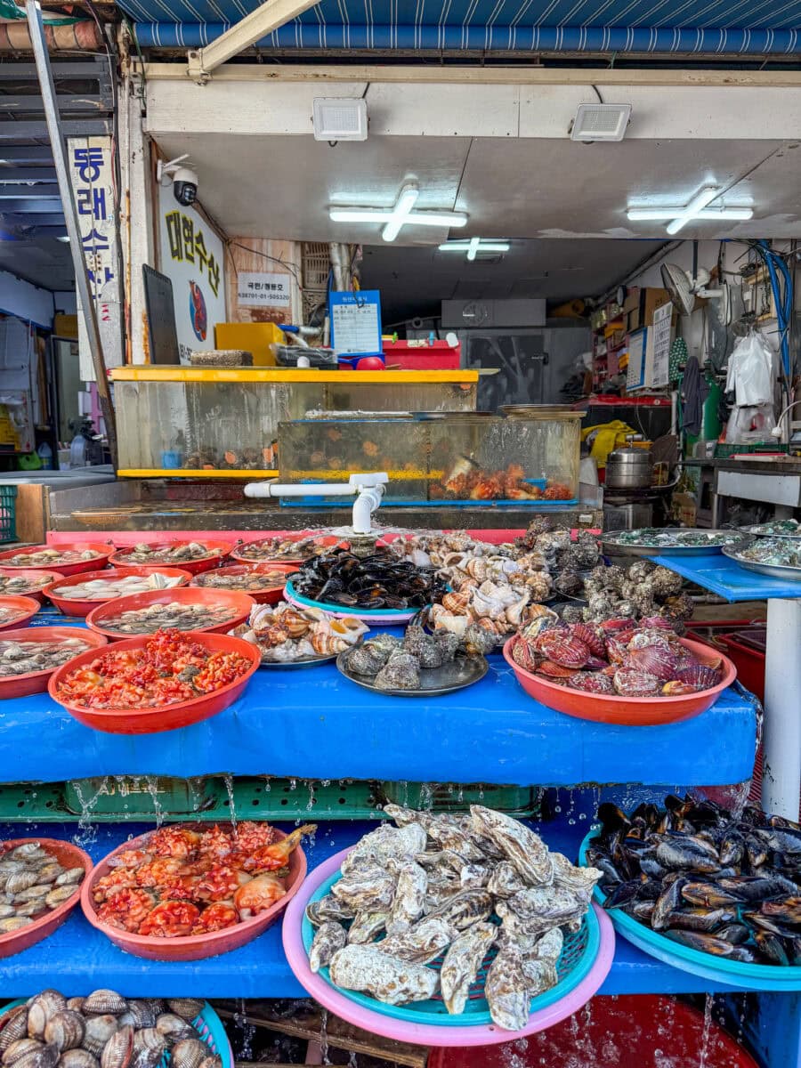 Vismarkt in Busan, Zuid-Korea
