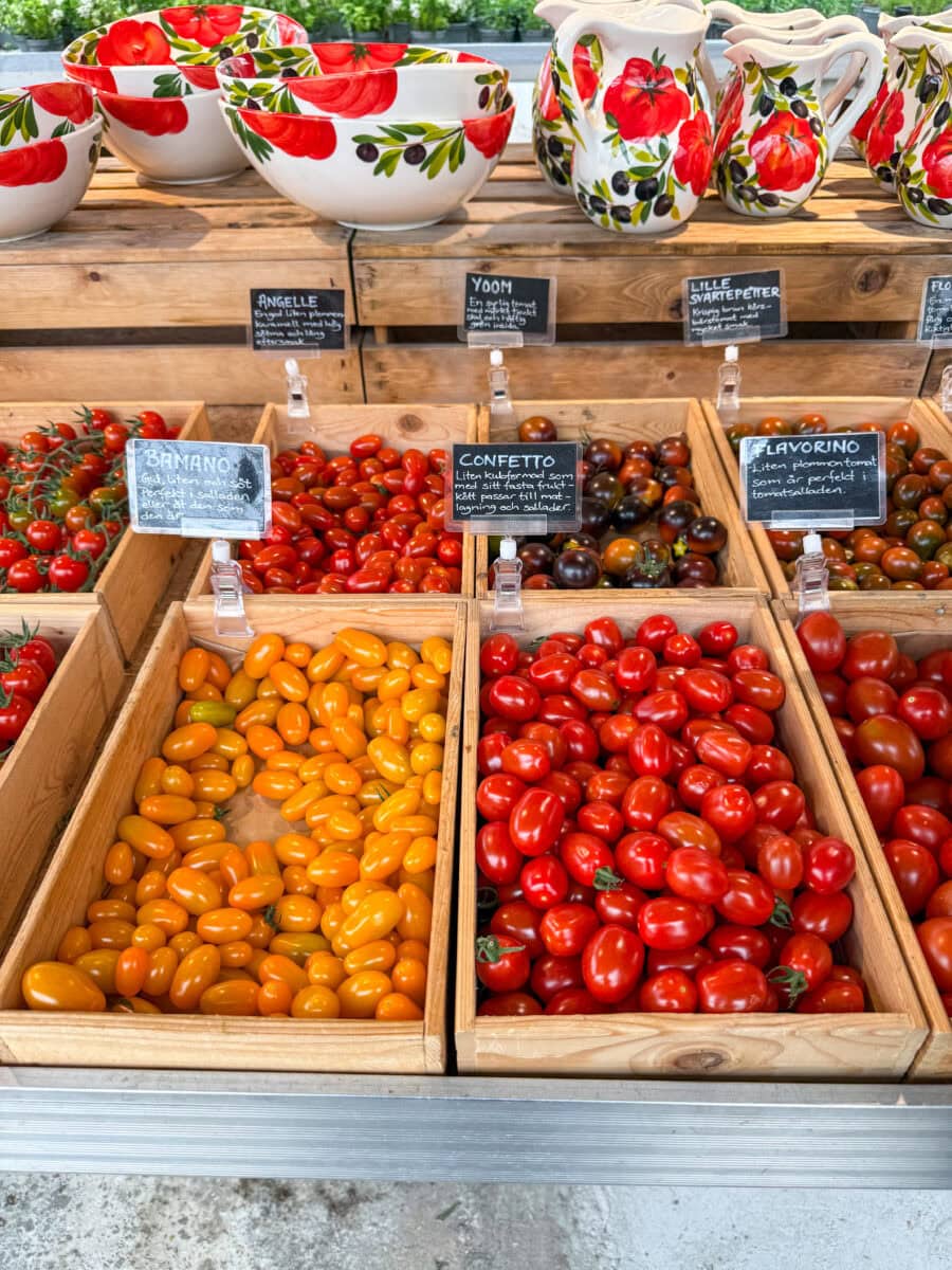 Verschillende soorten tomaten bij Tomatens Hus in Zweden