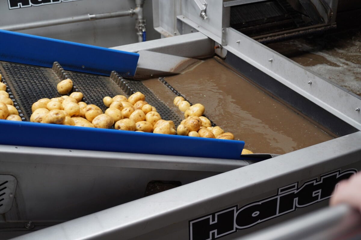Lay's fabriek aardappelen wassen