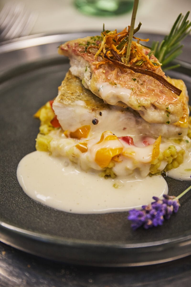 Gerecht met vis in Saarland