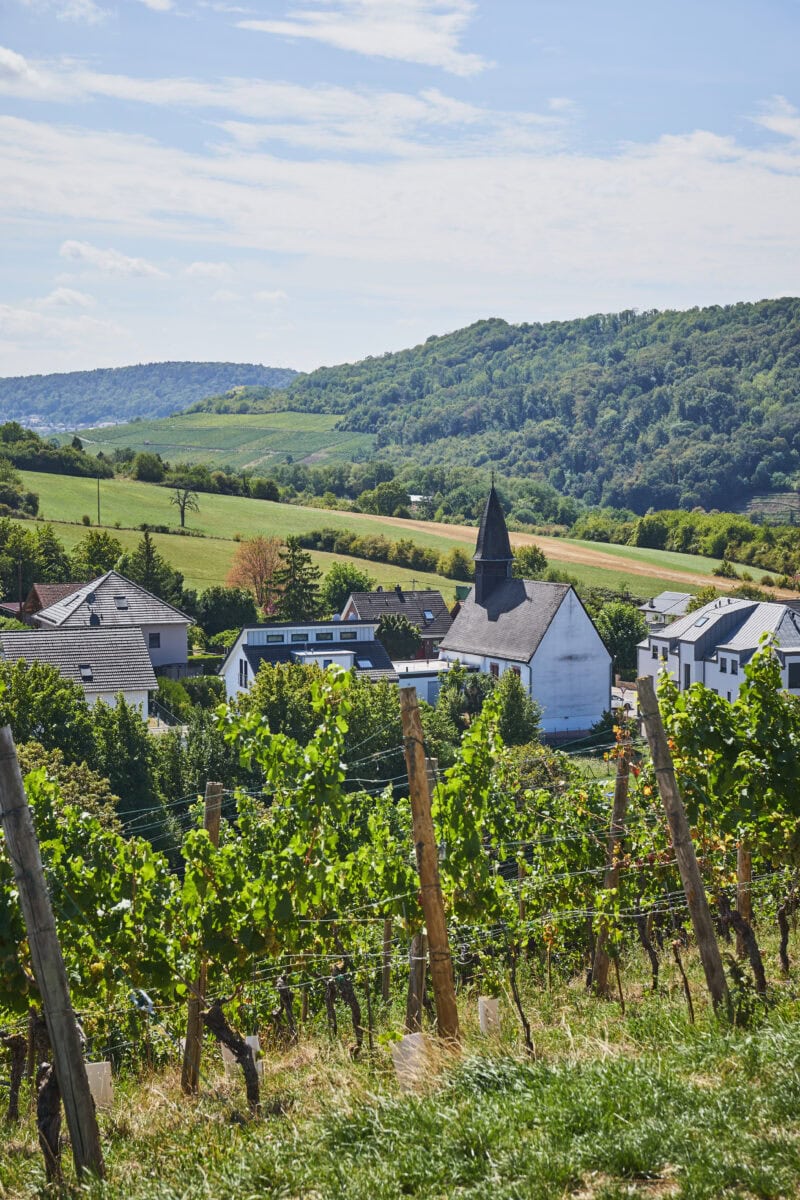 Wijngaarden in Saarland